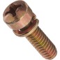 Vite collettore aspirazione ORIGINALE BRIGGS&STRATTON motore rasaerba