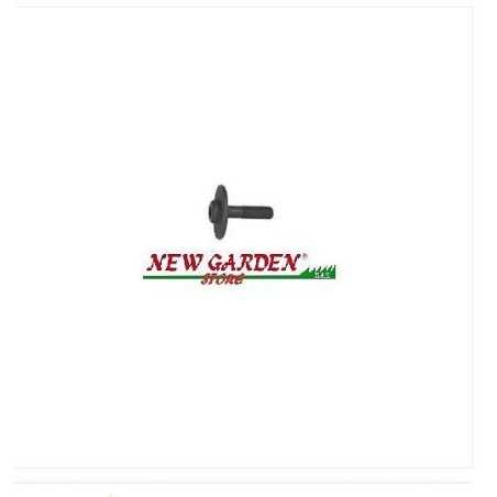 Vite frizione trattorino rasaerba tagliaerba 3/8" 48 mm CASTELGARDEN 12735460/0 | NewgardenParts.com