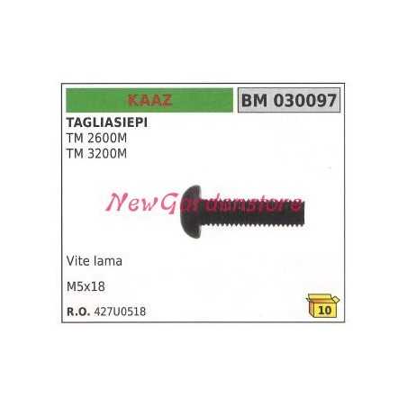 KAAZ blade screw TM 2600M 030097 | NewgardenParts.com