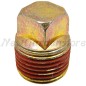 Oil drain screw lawn tractor compatible BRIGGS & STRATTON 690289