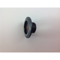 Original worm screw for EFCO oil pump 50160207 50160224 | NewgardenParts.com