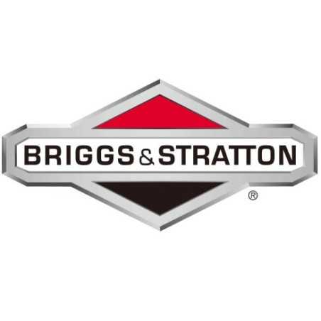 ORIGINAL BRIGGS & STRATTON lawn tractor mower nut 1960282SM | NewgardenParts.com