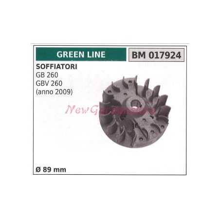 Volano magnetico GREEN LINE soffiatore GB 260 GBV 260 anno 2009 017924 | NewgardenParts.com