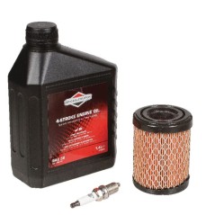 RASENTRAKTOR-WARTUNGSSATZ ORIGINAL B&S 21R5, 21R6, 21R7, 21R8 | NewgardenParts.com