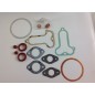 Serie smeriglio guarnizioni motore motocoltivatore LDA450 510 3LD510 LOMBARDINI