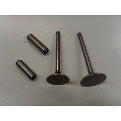 Valve kit with valve guide DIESEL engine LOMBARDINI LDA450 3LD510 KIT3L1 | NewgardenParts.com