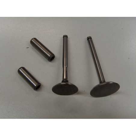 Valve kit with valve guide DIESEL engine LOMBARDINI LDA450 3LD510 KIT3L1 | NewgardenParts.com