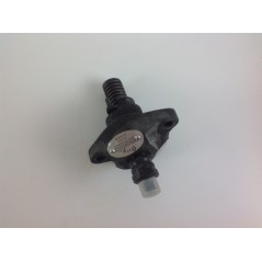 Pompa iniezione motore LOMBARDINI 710 7LD600 720 723 725 7LD665 6590.045 | NewgardenParts.com