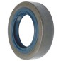 Radial seal ring 96400031745