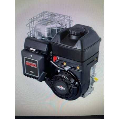 Moteur 4 temps complet BRIGGS & STRATTON 800 double arbre volant lourd 5.5HP | NewgardenParts.com