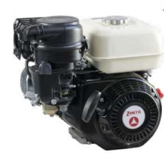 Moteur à essence complet ZBM 210 L2V ZANETTI Euro 5 cyl. 19.05 mm 208 cc