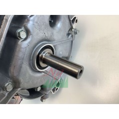Motor completo BRIGGS & STRATTON INTEK 3130E 25x80 13 cv tractor cortacésped DE REPUESTO | NewgardenParts.com