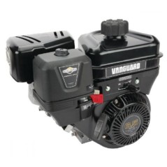 Motore COMPLETO BRIGGS & STRATTON VANGUARD albero cilindrico 20 mm 205 cc