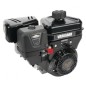 Motor completo BRIGGS & STRATTON VANGUARD eje cilíndrico 20 mm 205 cc Motor completo BRIGGS & STRATTON VANGUARD eje cilíndrico 20 mm 205 cc