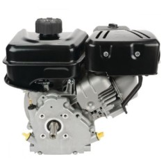Komplett BRIGGS & STRATTON VANGUARD Motor zylindrische Welle 20 mm 205 cc | NewgardenParts.com