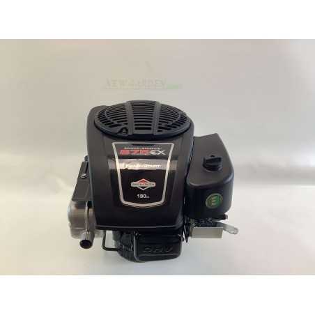 Complete BRIGGS&STRATTON 875 engine heavy flywheel no tank 22X80 190cc | NewgardenParts.com
