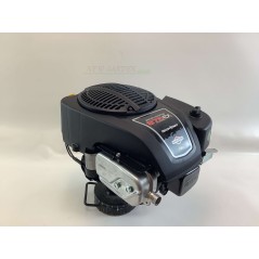 Motore completo BRIGGS&STRATTON 875 volano pesante no serbatoio 22X80 190cc | NewgardenParts.com