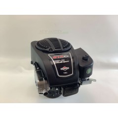 Complete BRIGGS&STRATTON 875 engine heavy flywheel no tank 22X80 190cc | NewgardenParts.com