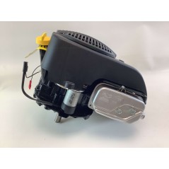 Moteur complet BRIGGS&STRATTON 875 volant lourd sans réservoir 22X80 190cc | NewgardenParts.com