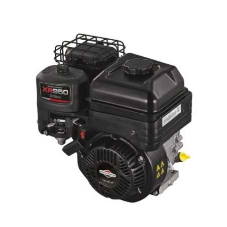 Complete BRIGGS&STRATTON XR950 208cc engine horizontal shaft 19x60 petrol | NewgardenParts.com