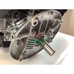 Kompletter HONDA GCV190P3 Motor 187 cc Schwungrad 25x80 mit Bremse | NewgardenParts.com