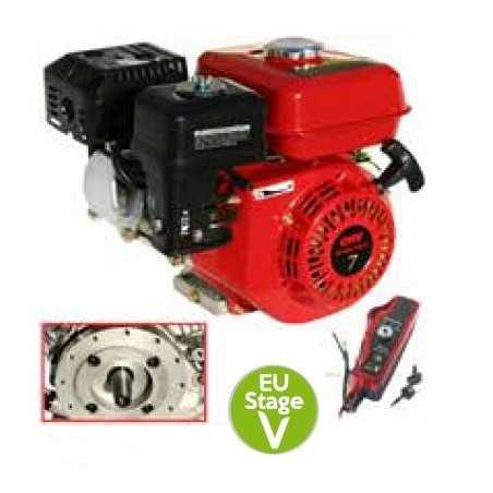 Kompletter LAUNTOP Benzinmotor mit konischer horizontaler Welle 208cc 7 PS | NewgardenParts.com