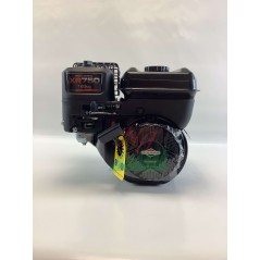 Complete single-cylinder BRIGGS & STRATTON 163cc 5Hp horizontal shaft engine | NewgardenParts.com
