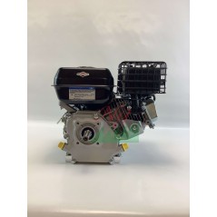 Complete single-cylinder BRIGGS & STRATTON 163cc 5Hp horizontal shaft engine | NewgardenParts.com