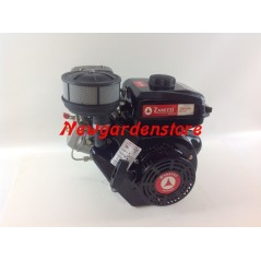Kompletter ZANETTI DIESEL ZDX230L2 Zylindermotor Handstart
