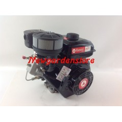 Kompletter ZANETTI DIESEL ZDX230L2 Zylindermotor Handstart | NewgardenParts.com