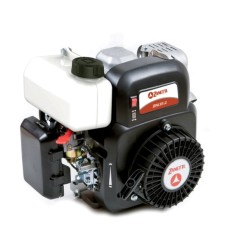 ZANETTI ZEN130L1 kompletter Benzinmotor ZANETTI ZEN130L1 Welle Ã˜ 15 | NewgardenParts.com