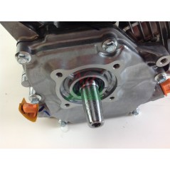Motore completo RATO R210 albero 23 mm cono nazionale 212 cc con flangia | NewgardenParts.com