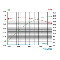 Complete RATO RV340 engine 340cc vertical shaft 25.4mm diameter light flywheel | NewgardenParts.com