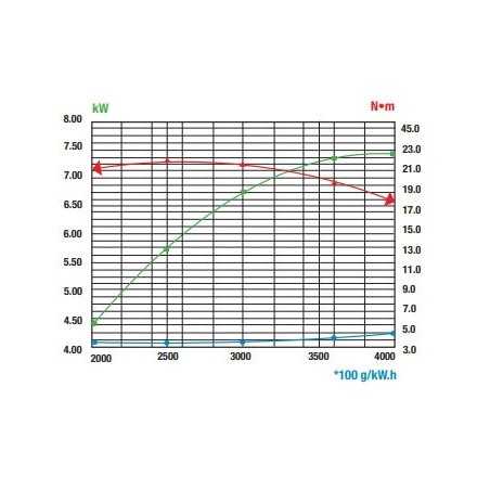 Motore completo RATO RV340 340cc albero verticale diametro 25,4mm volano leggero