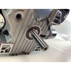 Kompletter Austauschmotor STIGA TRE586V 586 cc Zweizylinder Briggs Traktor | NewgardenParts.com