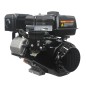 STIGA WS250 complete engine horizontal 25.4x80 252 cc electric snowplough drive STIGA WS250 complete engine horizontal 25.4x80 252 cc electric snowplough drive