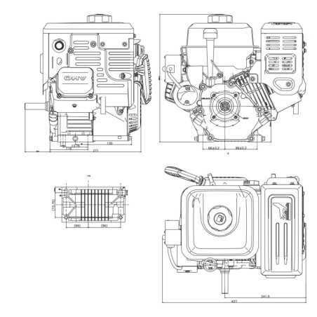 STIGA WS250 complete engine horizontal 25.4x80 252 cc electric snowplough drive