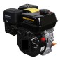 Complete STIGA WS380 horizontal 25.4x80 375 cc engine electric start Complete STIGA WS380 horizontal 25.4x80 375 cc engine electric start