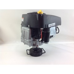 BRIGGS & STRATTON 540 ccm 19 PS Rasenmähertraktor Komplettmotor | NewgardenParts.com