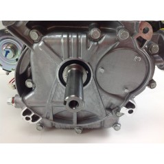 Motore completo trattorino rasaerba tagliaerba BRIGGS & STRATTON 540 cc 19 HP | NewgardenParts.com