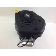 Kompletter Motor Rasentraktor BRIGGS&STRATTON 13 PS 344 ccm INTEK 21R807 | NewgardenParts.com
