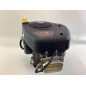 Kompletter BRIGGS STRATTON 500 cc Rasentraktor-Mähermotor 4165