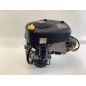 Kompletter BRIGGS STRATTON 500 cc Rasentraktor-Mähermotor 4165