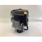 Kompletter BRIGGS STRATTON 500 cc Rasentraktor-Mähermotor 4165