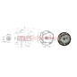 ZANETTI ZBMV225L6 7HP 22X80 complete flywheel heavy duty lawnmower motor