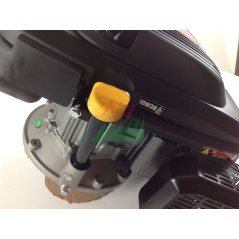 Motore completo volano pesante tagliaerba motozappa ZANETTI ZBMV225L6 7HP 22X80 | NewgardenParts.com