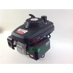 ZANETTI ZBMV160L5 159cc 3.68kW Welle 22x60 kompletter Rasentraktor Motor | NewgardenParts.com