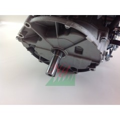 ZANETTI ZBMV160L5 159cc 3.68kW Welle 22x60 kompletter Rasentraktor Motor | NewgardenParts.com