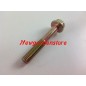 Vite flangia trattorino tagliaerba ORIGINALE KAWASAKI FH500V 130T0850