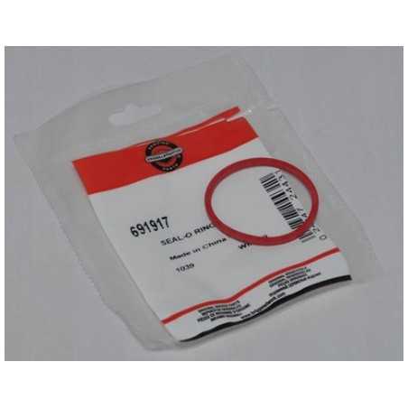 ORIGINAL BRIGGS & STRATTON Luftfilterdichtung 281106 691917 | NewgardenParts.com